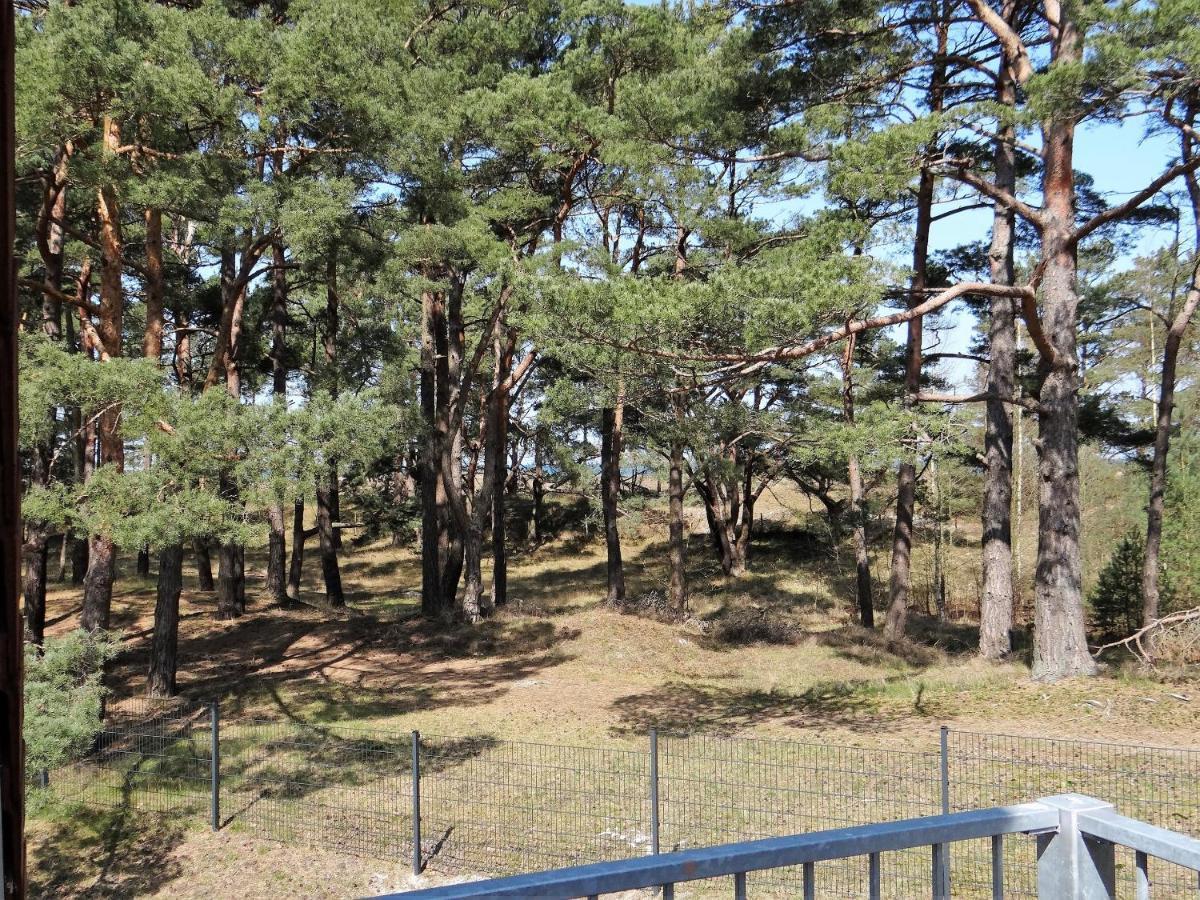 Ferienanlage Haus Hinter Den Duenen App 6 Dg 2 Prerow Exteriör bild
